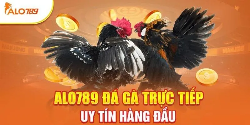 thong-tin-can-biet-ve-uu-diem-cua-sanh-da-ga-alo789