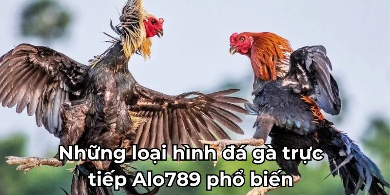 nhung-loai-hinh-da-ga-truc-tiep-alo789-pho-bien