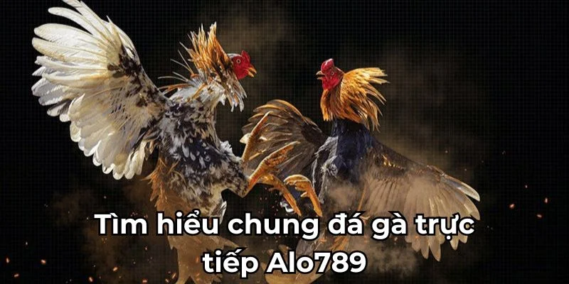 tim-hieu-chung-da-ga-truc-tiep-alo789