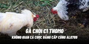 ga-choi-thomo-alo789