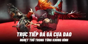 truc-tiep-da-ga-cua-dao-alo789