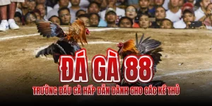 da-ga-88